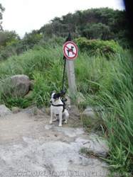 Cimg0205