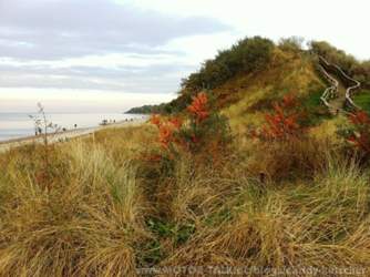 Img-3894