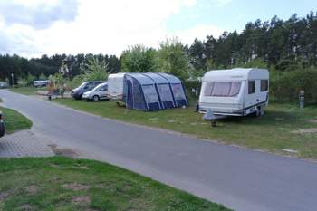 Bild-1