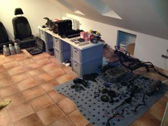 Img-1436
