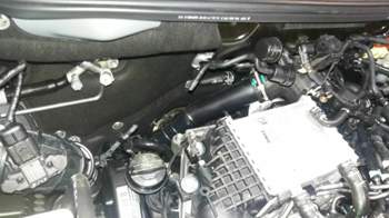 20170320_132045.jpg