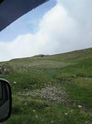 Img-1525