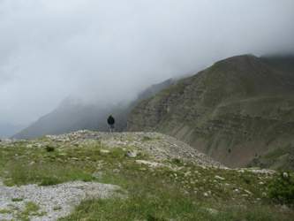 Img-1529