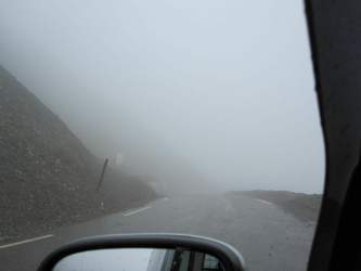 Img-1564