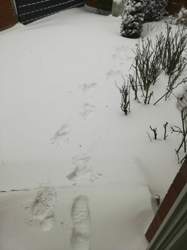 Img-20210207