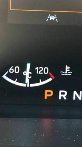 Asset.PNG.jpg