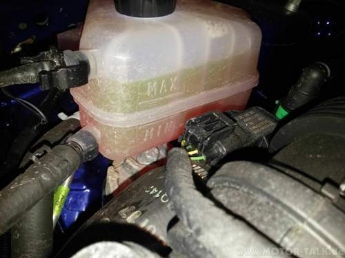 Warmer Motor