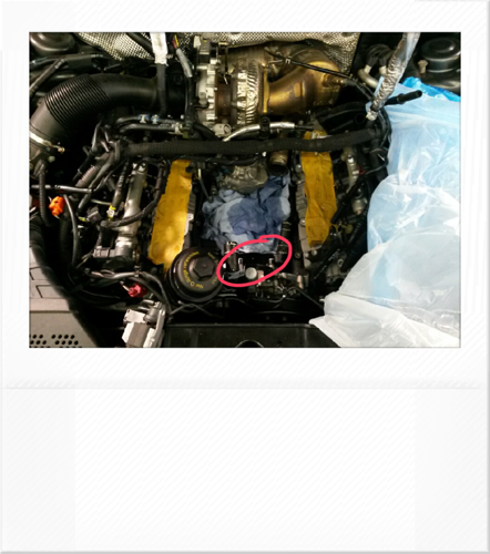 Image_02.png