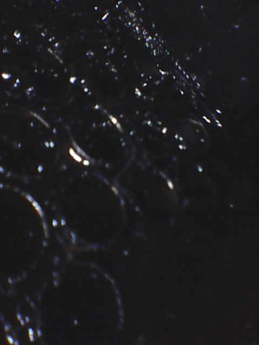 Image-2024-10-11-13-42-51