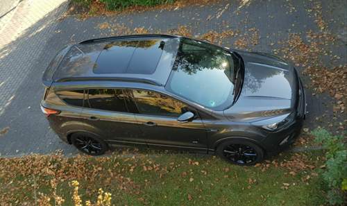 Kuga im Herbst