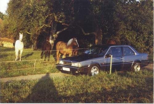 Bertone-pferde-3