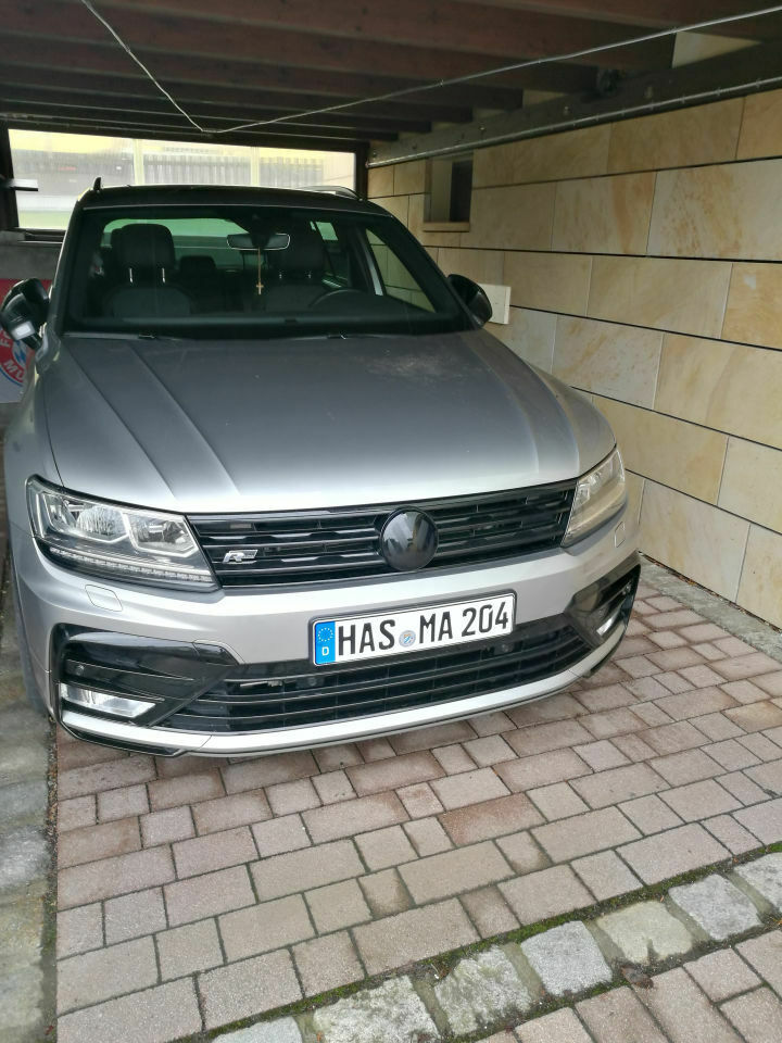 Kunstoffabdeckung am VW Zeichen (vorne)