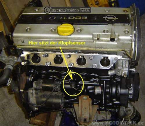 Kopfsensor-beim-x20xev-55578-1