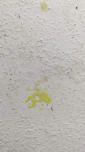 IMG_20231216_152129205.jpg