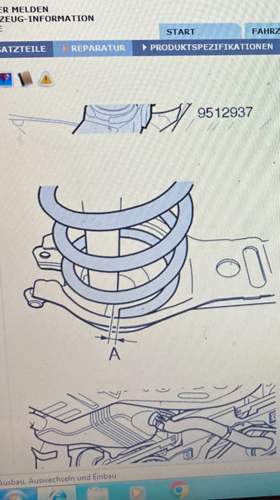 Asset.PNG.jpg