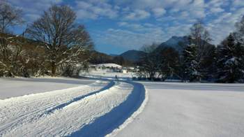 20150101-150447-resized