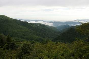 Dsc-8340-medium