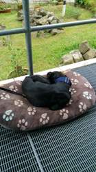 Img-20160822-111002