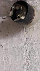 IMG-20180809-WA0007.jpg