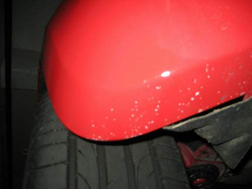 Img-0515