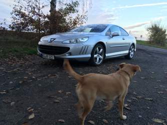 Finde das Peugeot 407 Coupé optisch immer noch schick