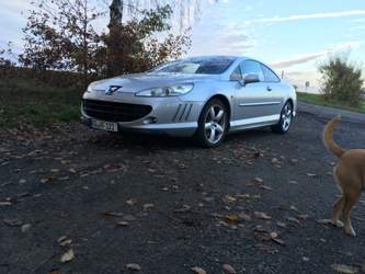 Mit den 3.0 Liter V6 ist das 407 ein toller Reisewagen