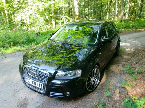 8pa-vs-wald-spiegelung-300809