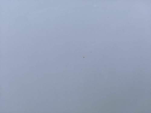 IMG_20200506_202916.jpg