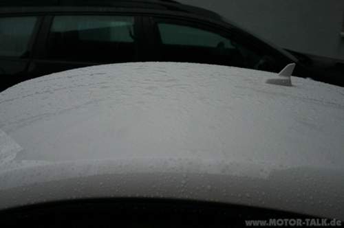 Img-7932