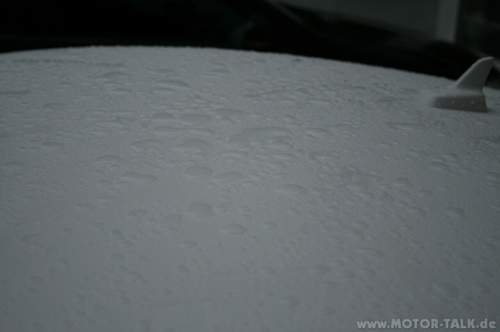 Img-7931