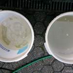 7rest-waschwasser-bug-n-bugger