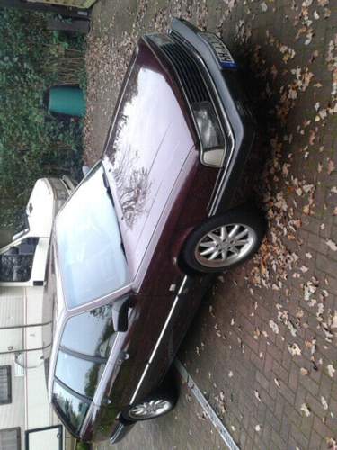 20v avant