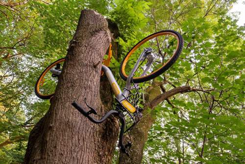 In vielen Städten werden die Leih-Fahrräder Ziel von Vandalismus