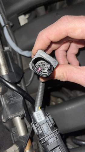 „Trockener“ Stecker
