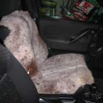 Img-2792