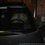 Img-2793