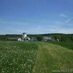 Wald und Wiesen open air ein Genuss