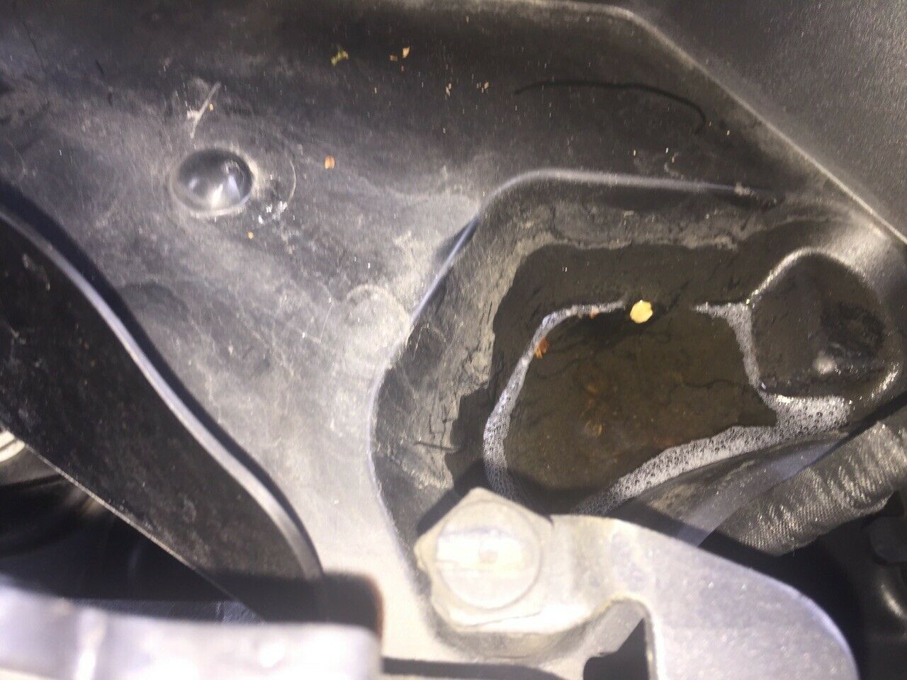Laub im Motorraum
