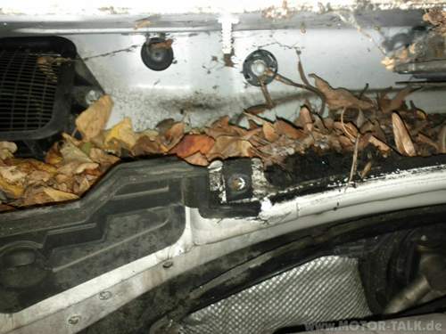 Img-20131130-170609