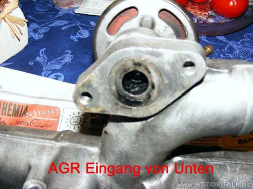 Agr201