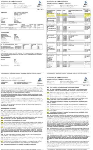 Cms-c12-silber-gutachten-excerpt