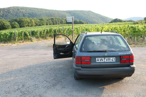 Img-0213