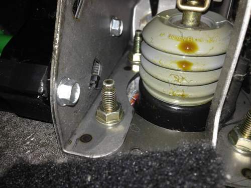 Img-2499