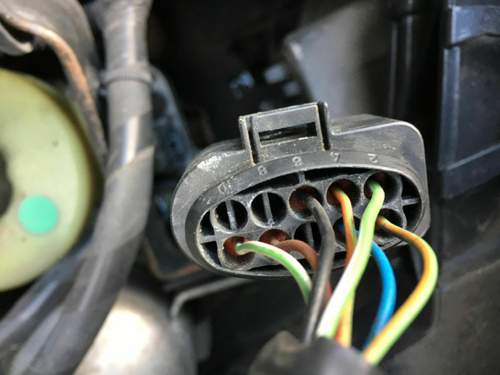 Focus MK2 Scheinwerfer Stecker Halogen