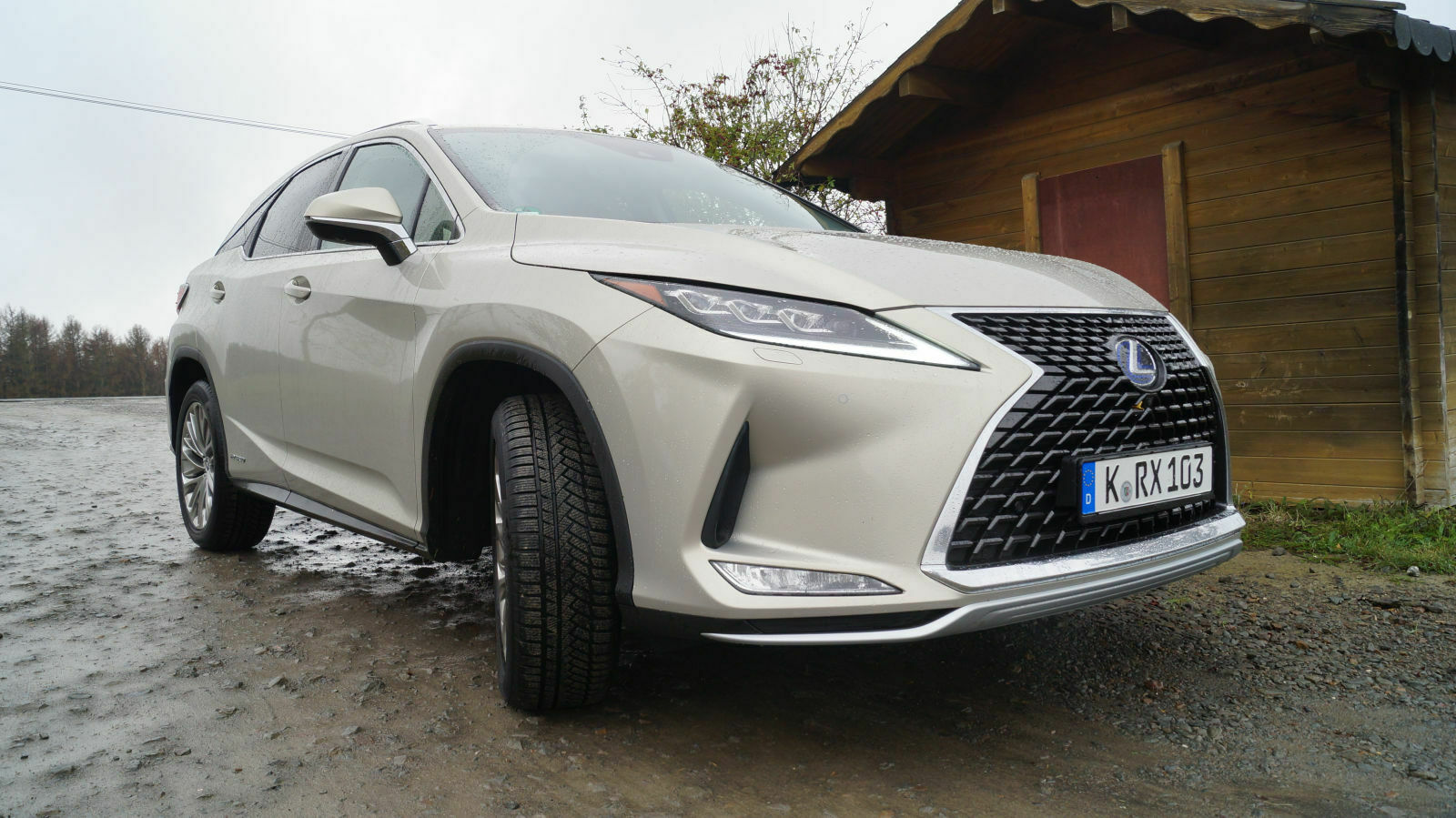 Lexus RX AL2 450h AWD Test