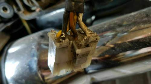 Stecker LIMA 1