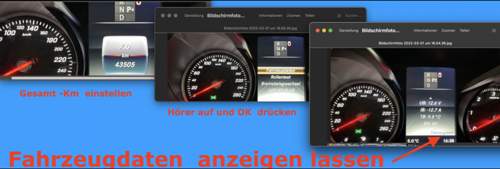 Fahrzeugdaten aufrufen