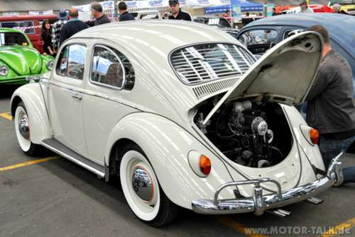 Shiny-bug