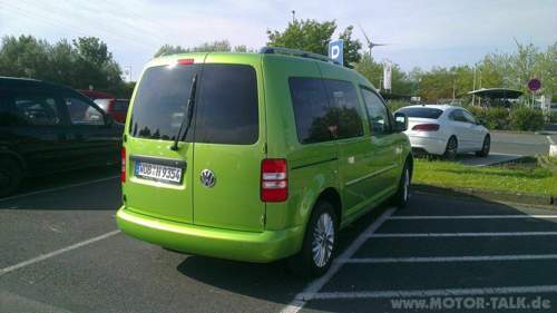 Caddy-cup-1