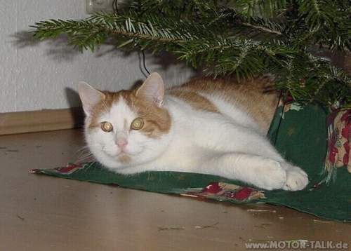 Kater